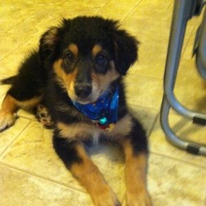 Meet your Posher, Keith